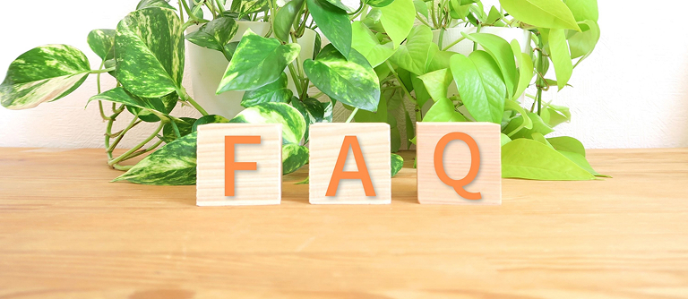 テーブル上にある植物とFAQブロック